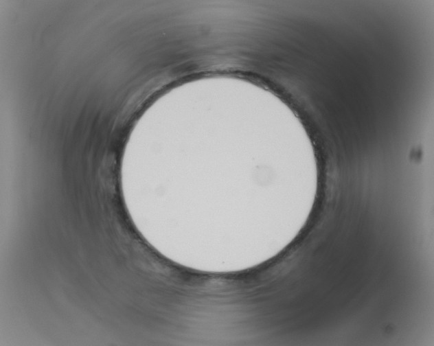 X0000113141265200910161147