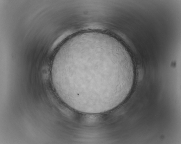 X0000113141266200910161147