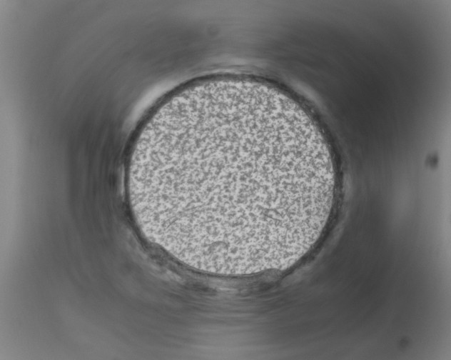 X0000113141267200910161147