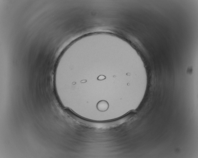 X0000113141268200910161147