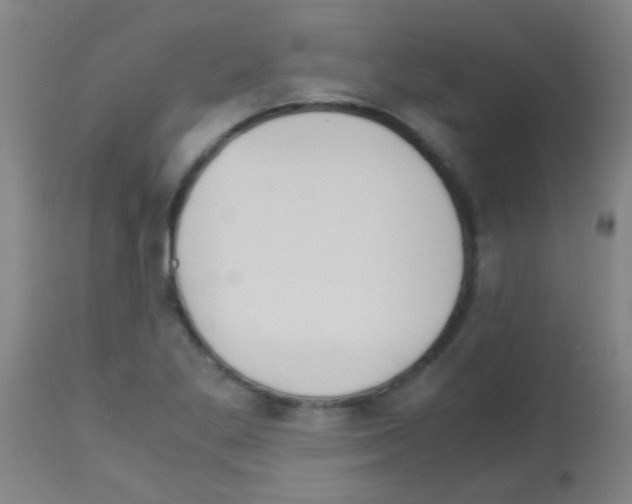 X0000113141269200910161147