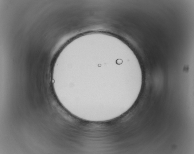 X0000113141270200910161147