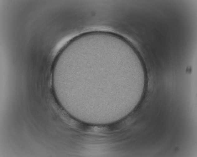 X0000113141271200910161147