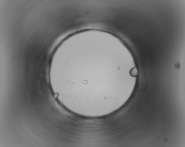 X0000113141272200910161147
