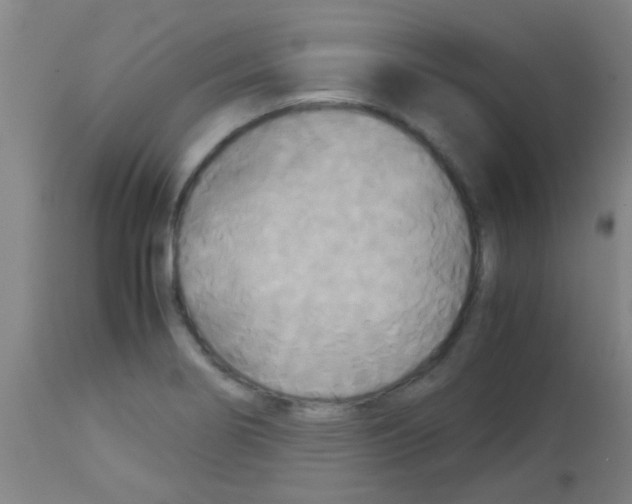 X0000113141274200910161147