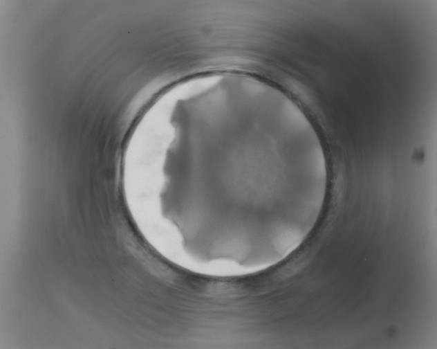 X0000113141275200910161147