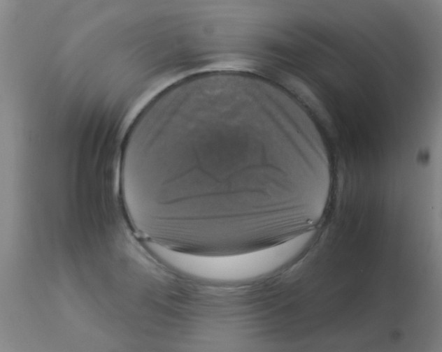 X0000113141276200910161147