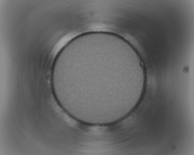 X0000113141277200910161147