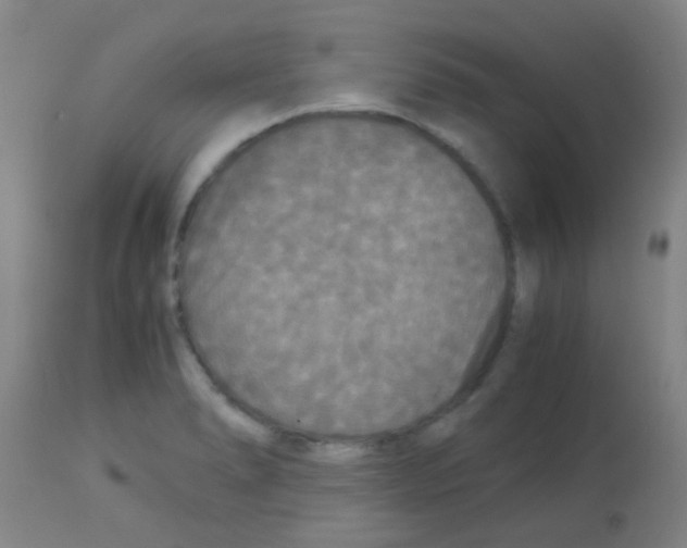 X0000113141278200910161147