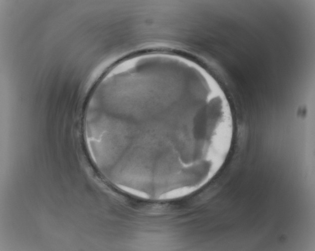 X0000113141279200910161147