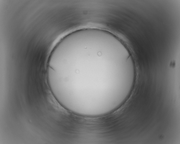 X0000113141280200910161147