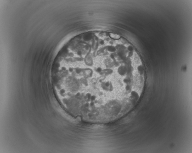 X0000113141283200910161147