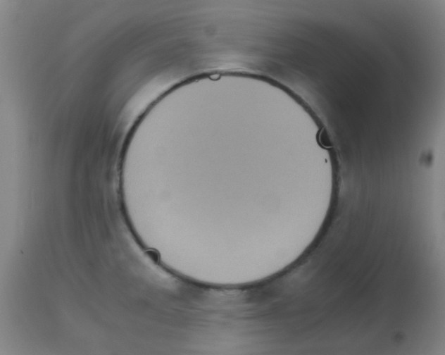 X0000113141285200910161147