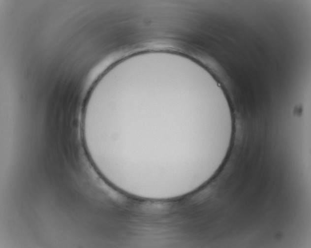 X0000113141286200910161147