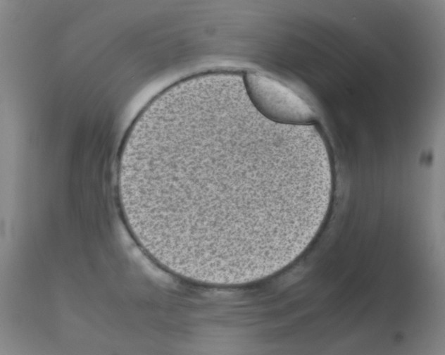 X0000113141287200910161147