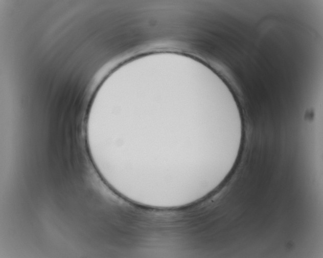 X0000113141288200910161147