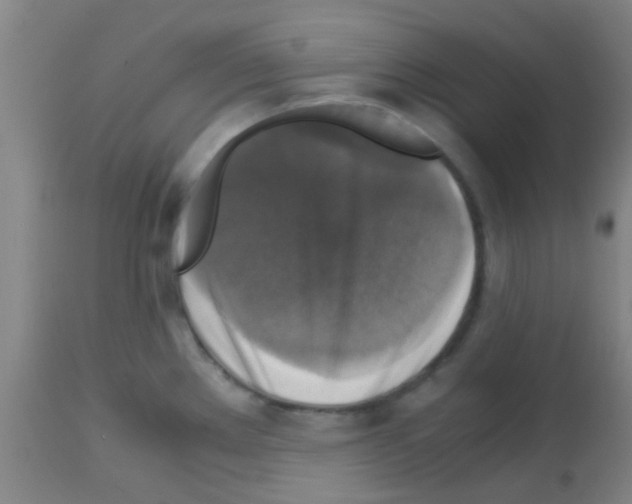 X0000113141289200910161147