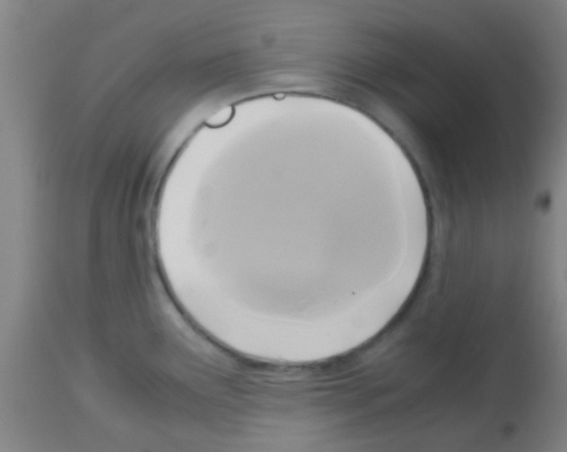 X0000113141291200910161147