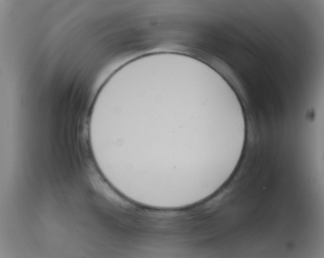 X0000113141292200910161147