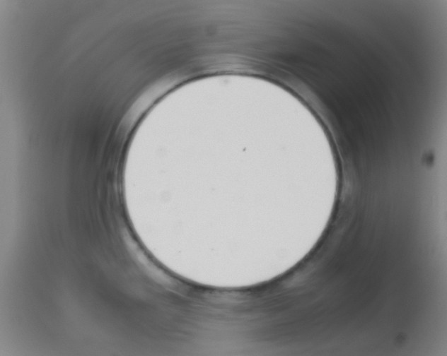X0000113141293200910161147