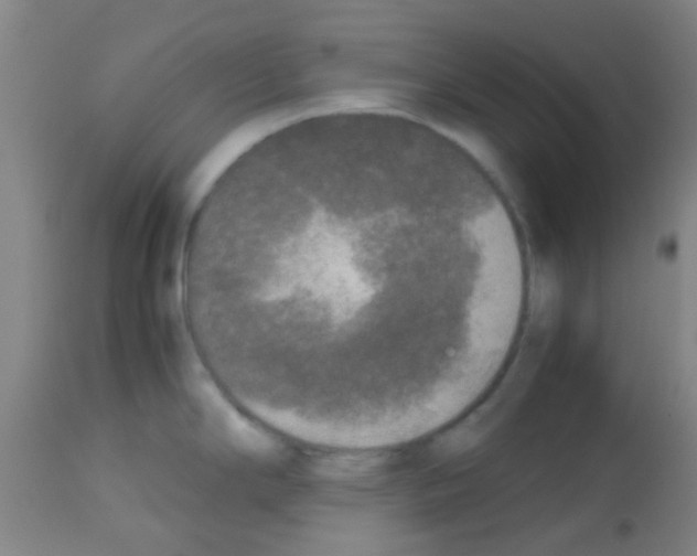 X0000113141294200910161147