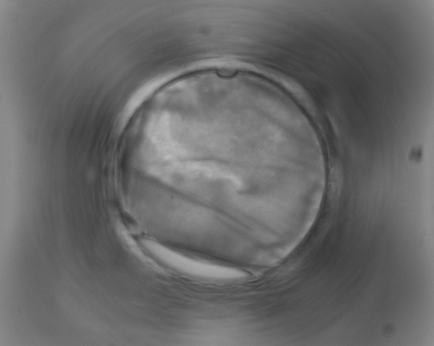 X0000113141295200910161147