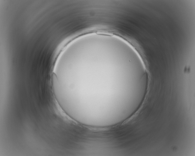 X0000113141296200910161147