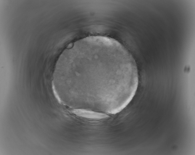 X0000113141297200910161146