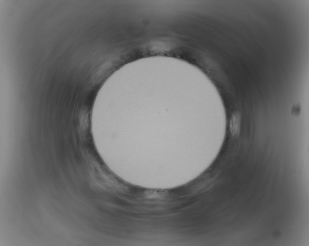 X0000113141299200910161146