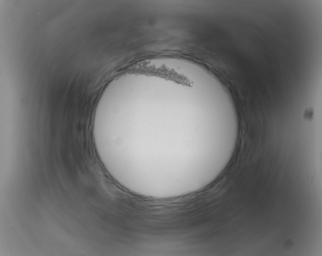 X0000113141300200910161146
