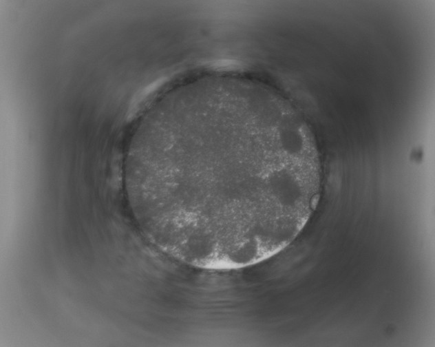 X0000113141301200910161146