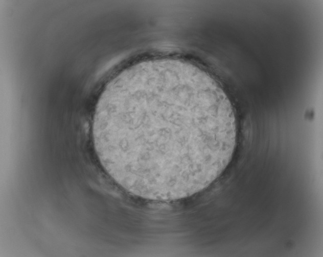 X0000113141302200910161146
