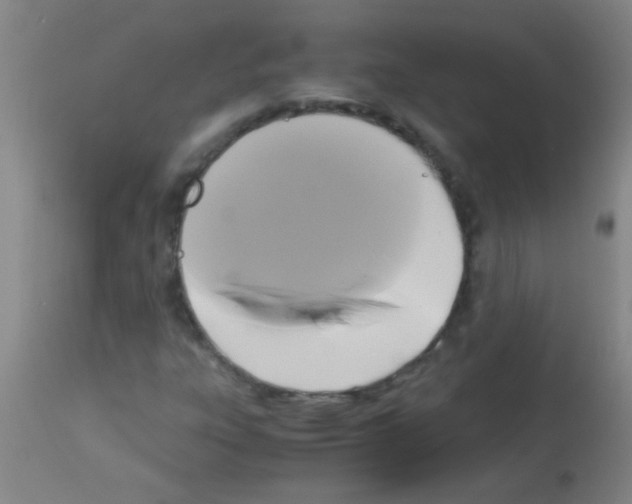 X0000113141303200910161146