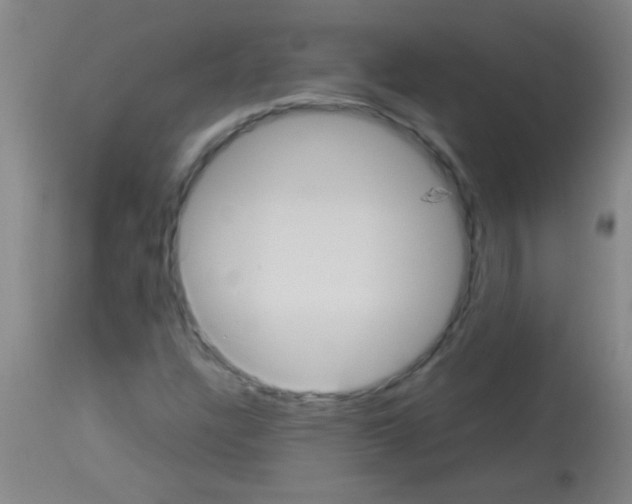 X0000113141304200910161146