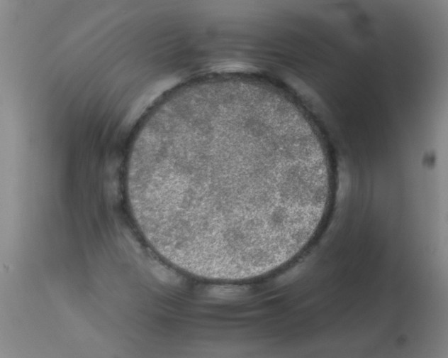 X0000113141305200910161146