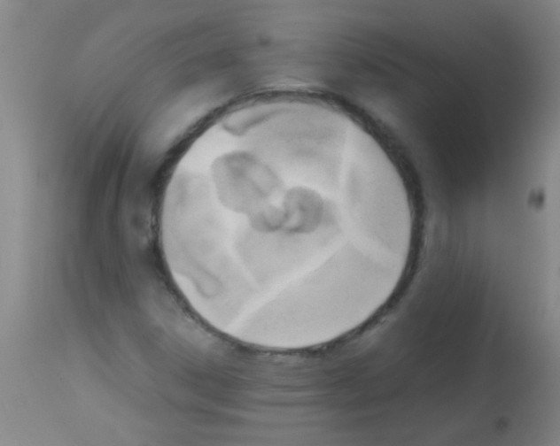 X0000113141306200910161146
