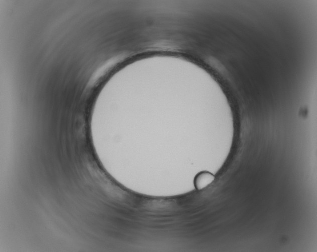 X0000113141307200910161146