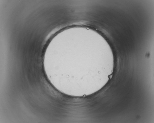 X0000113141308200910161146
