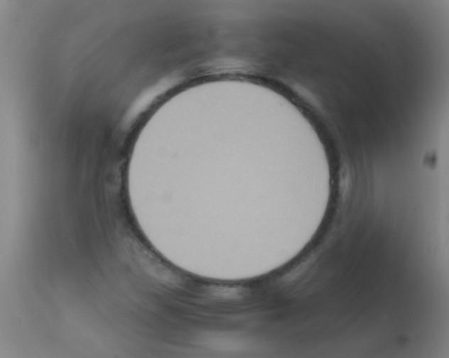 X0000113141309200910161146