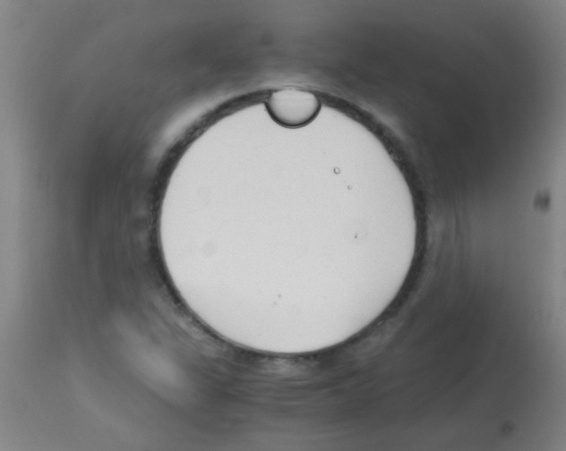 X0000113141311200910161146