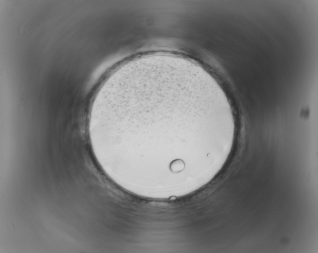 X0000113141312200910161146