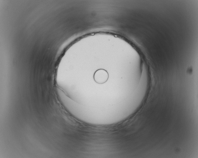 X0000113141316200910161147