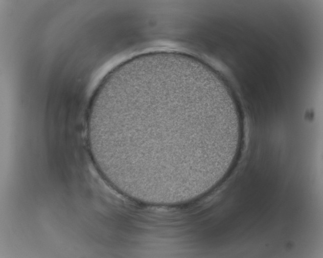 X0000113141318200910161147