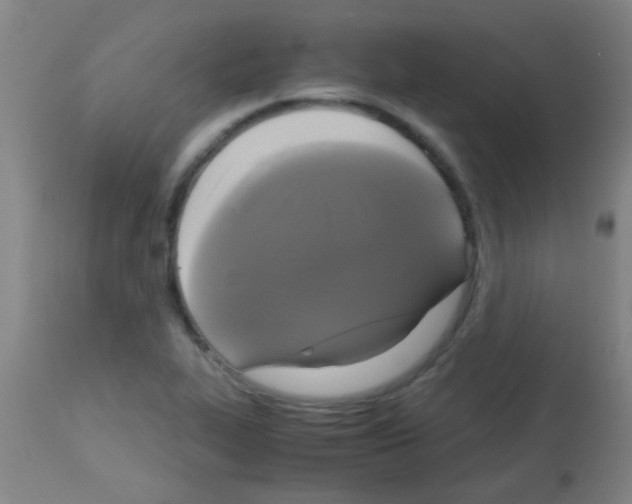 X0000113141319200910161147