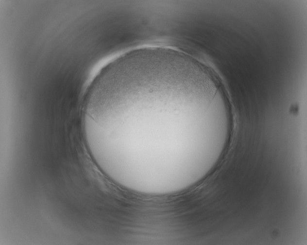 X0000113141320200910161147