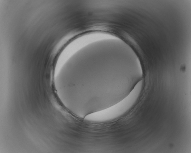 X0000113141323200910161147