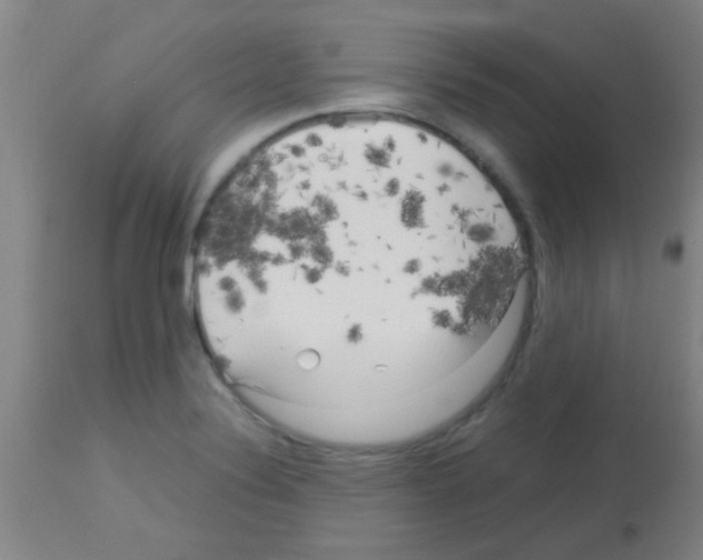X0000113141324200910161147