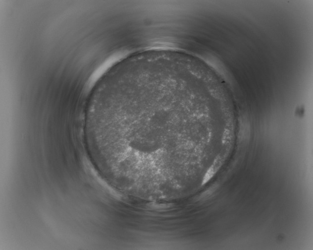 X0000113141325200910161147