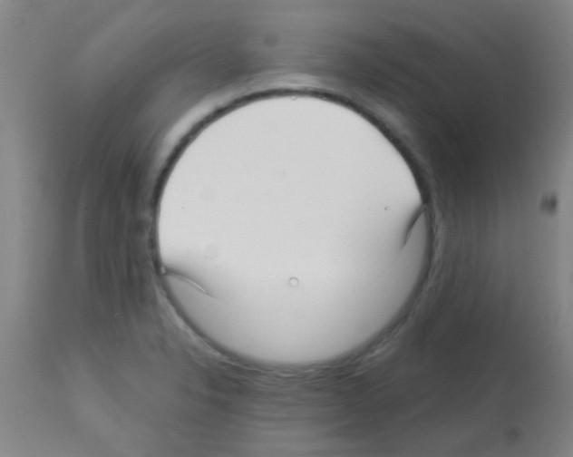 X0000113141326200910161147