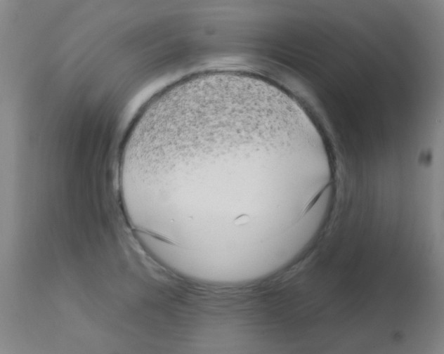 X0000113141328200910161147